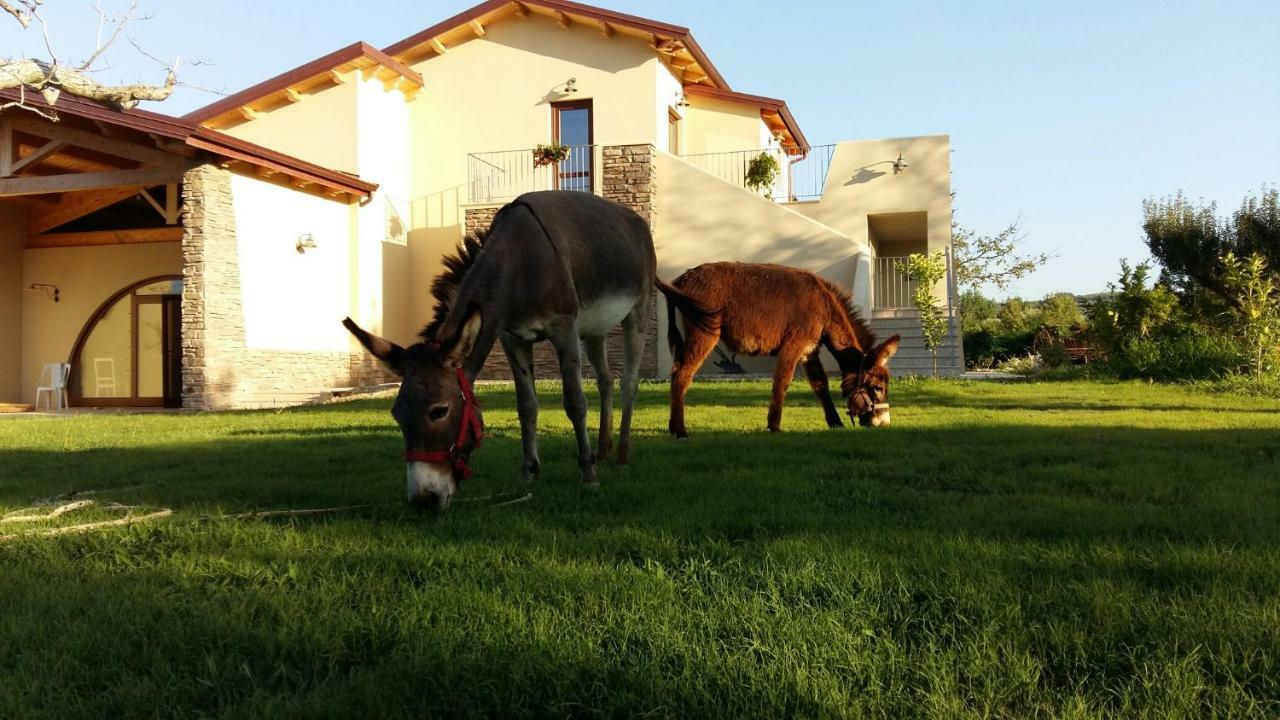 Agriturismo Frantoio Mafrica Limbadi Экстерьер фото